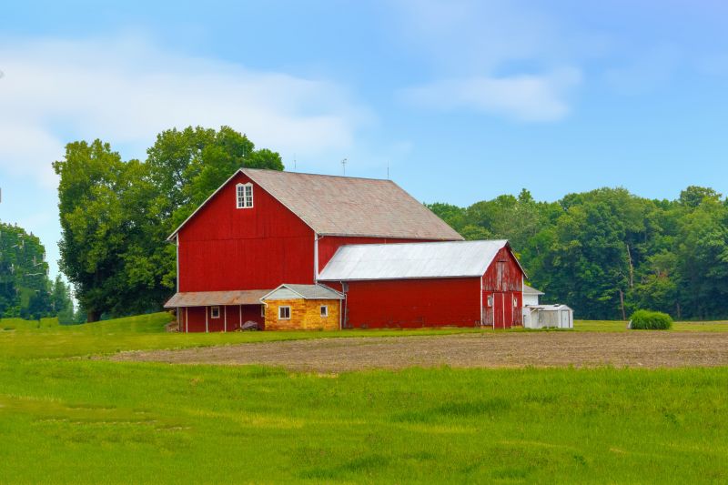 Barn Staining